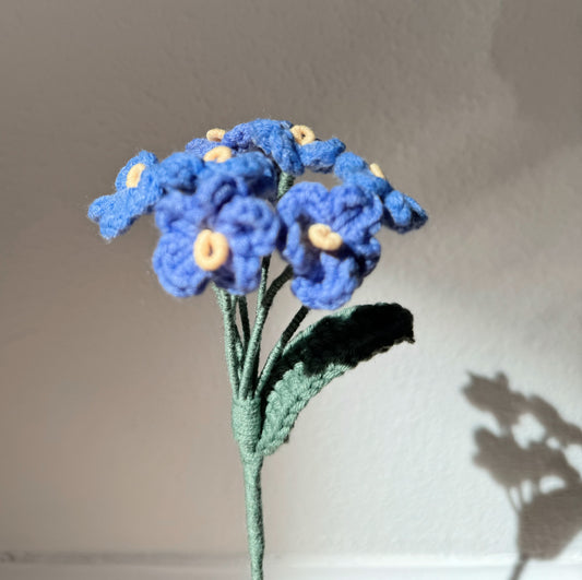 Blue Forget me nots