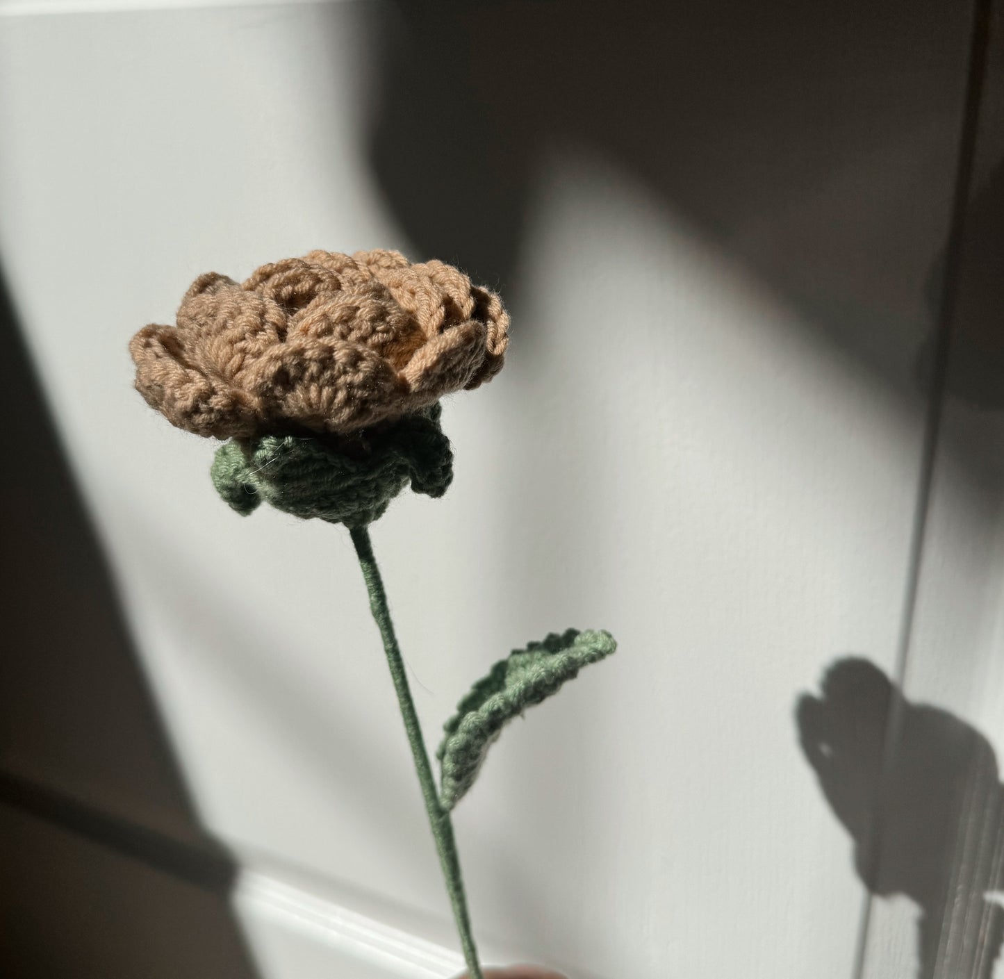 Neutral Rose