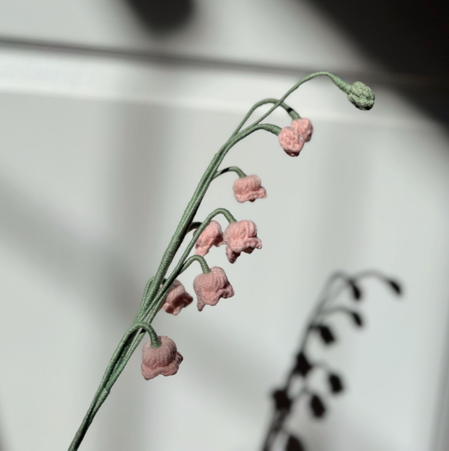 Pink Lily Of The Valley