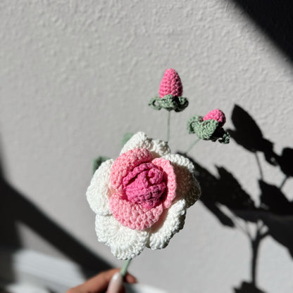 Ombré Pink Rose Branch