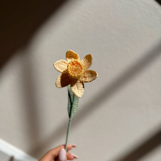 YELLOW DAFFODIL