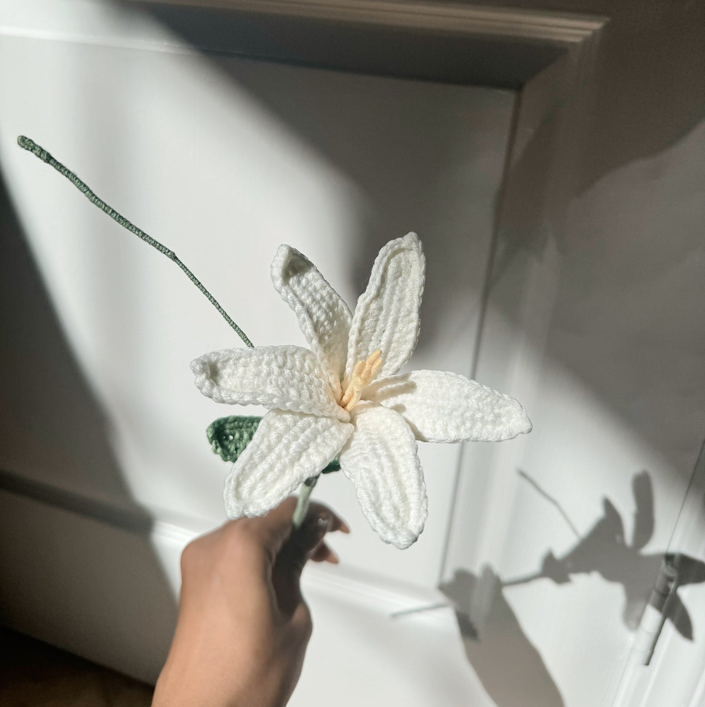 Rain Lily