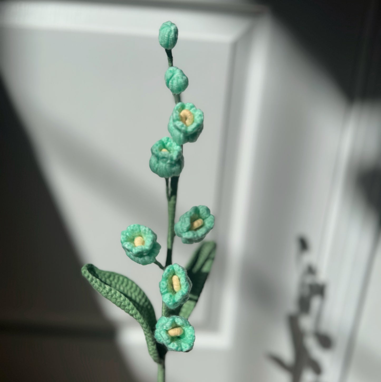 Green Bell Orchid