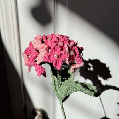 PINK HYDRANGEA