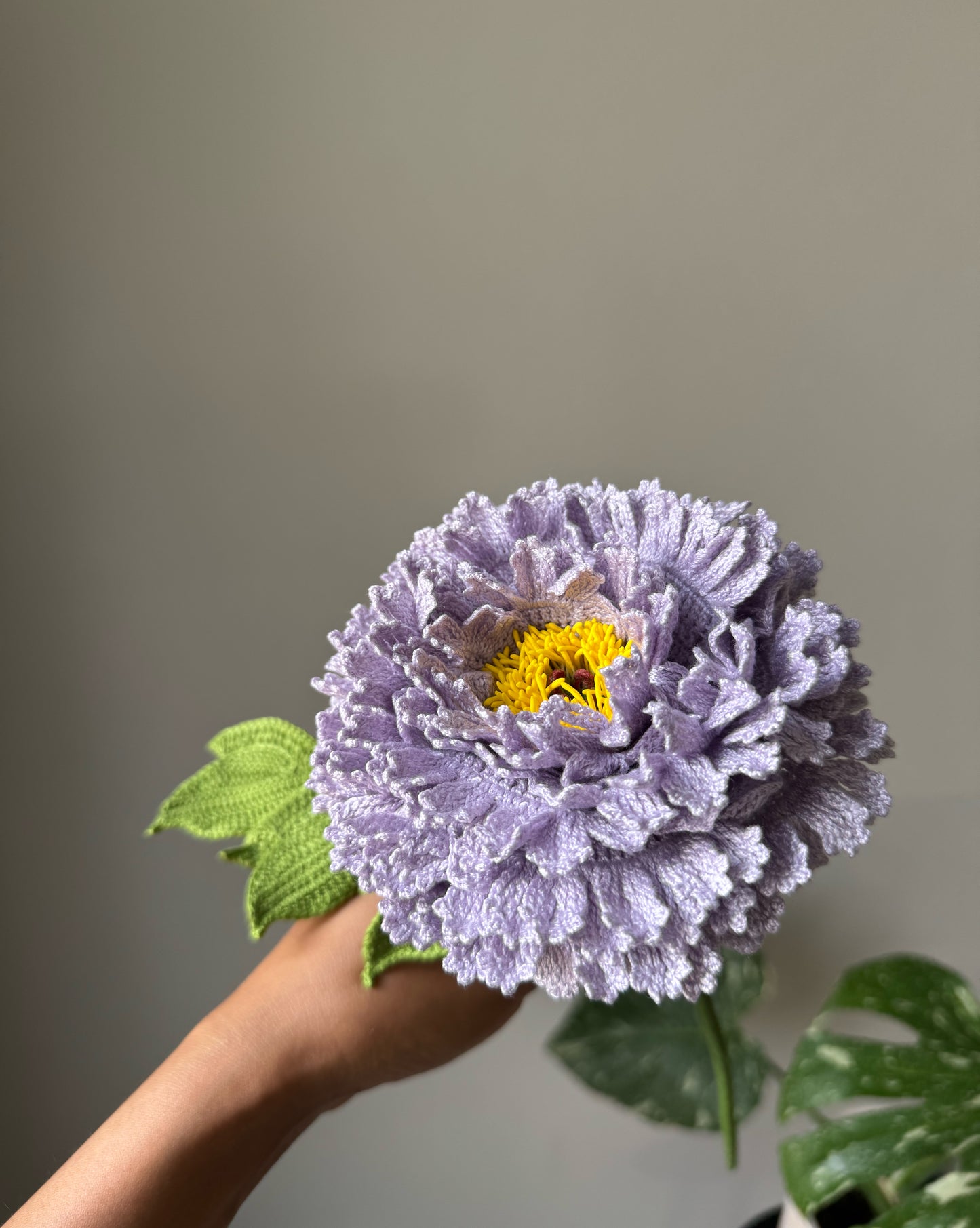 Detailed Lilac Peony