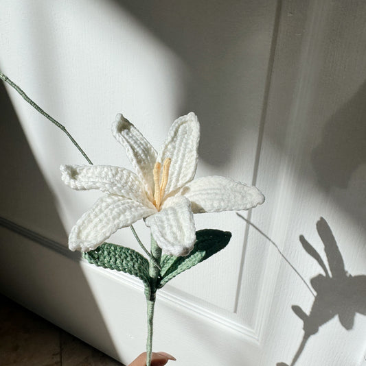 Rain Lily