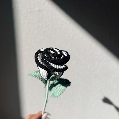 Monochrome Edge Rose