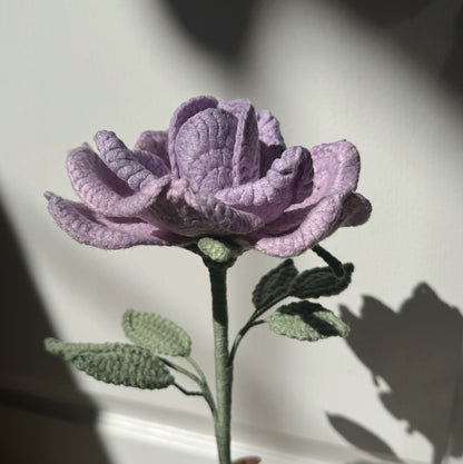 Purple XL Rose