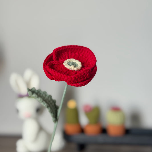 Red Poppy