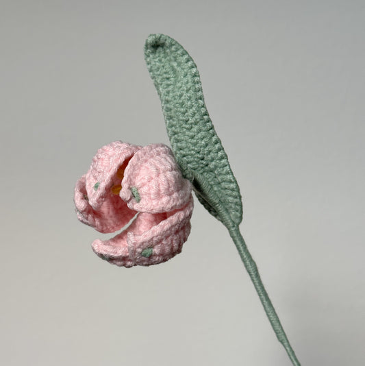 Snowdrop