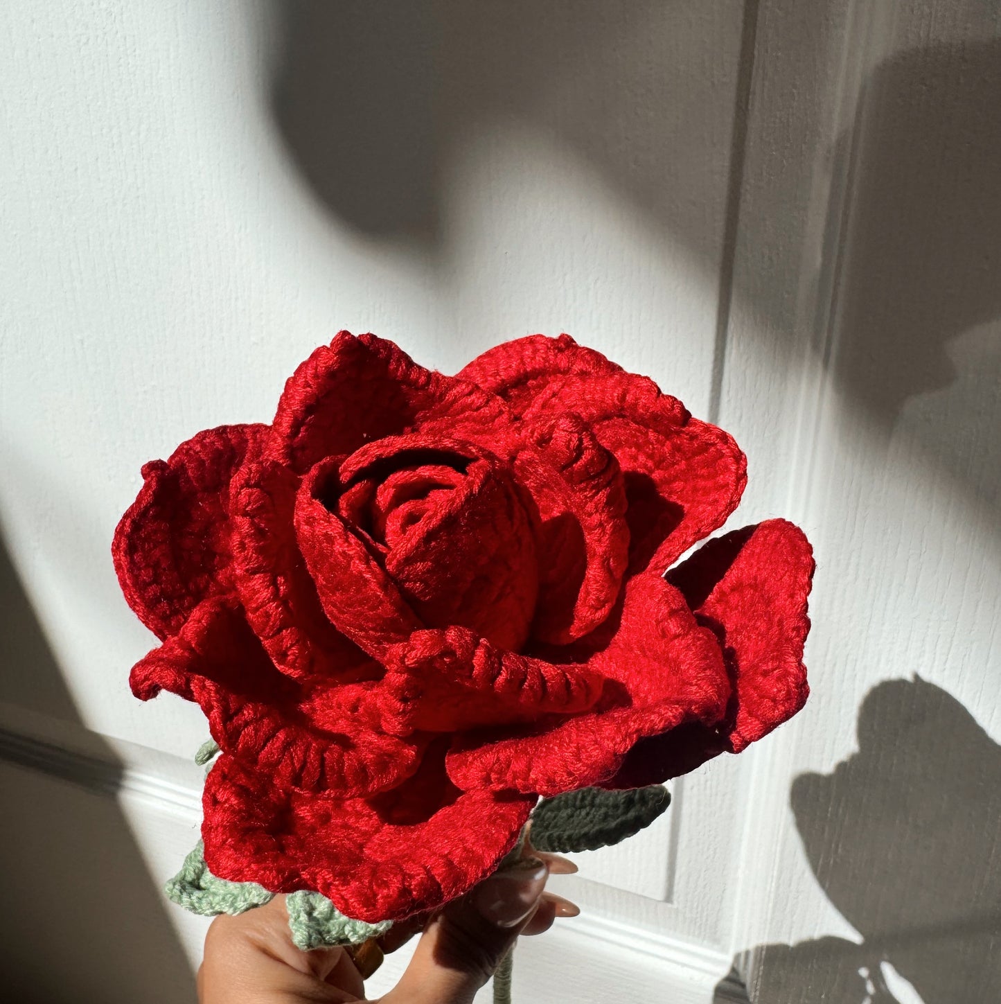Red XL Rose