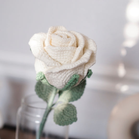 JUMBO WHITE ROSE