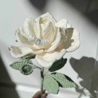 White XL Rose