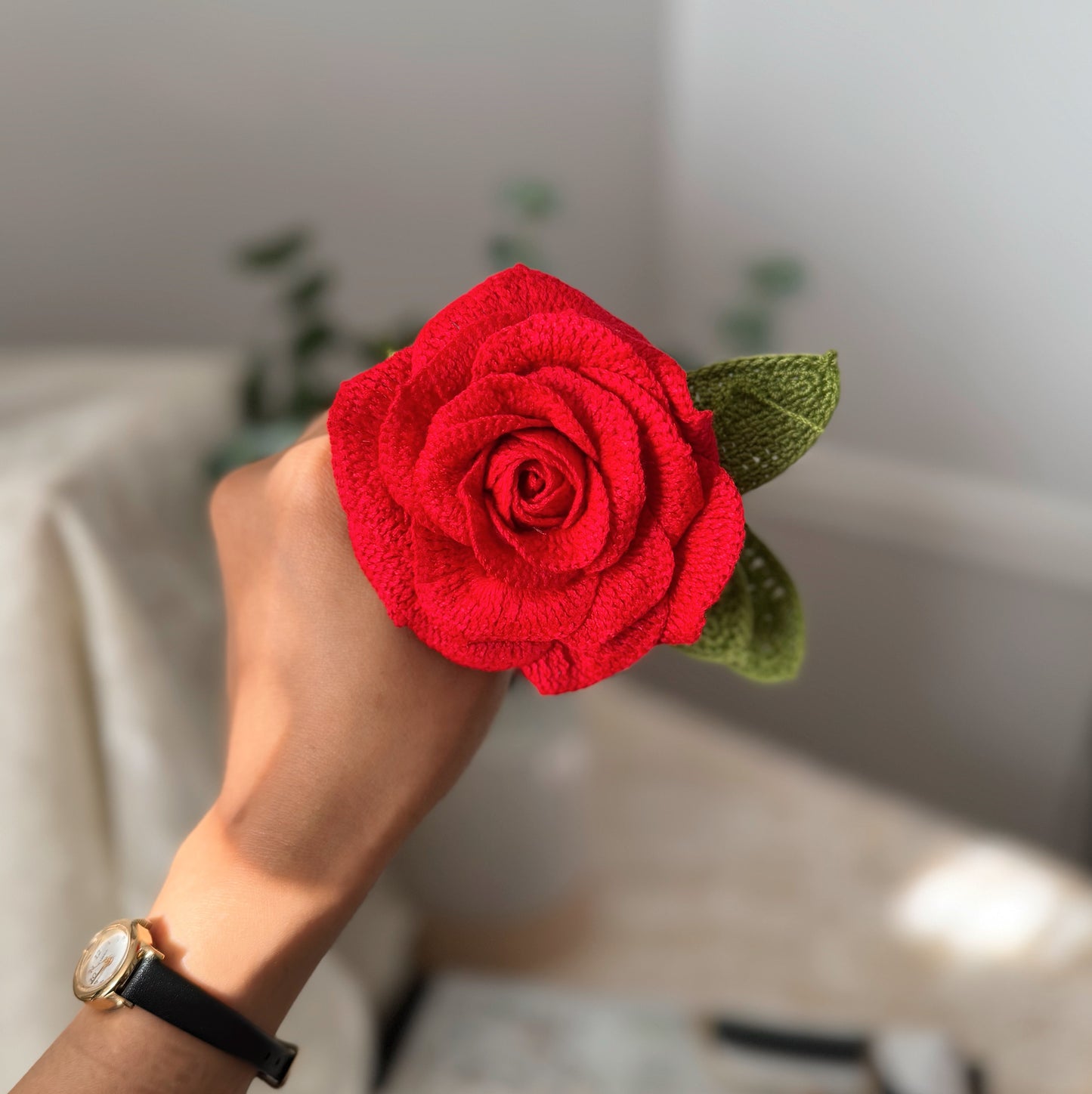 Detailed Red Rose