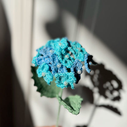 BLUE HYDRANGEA