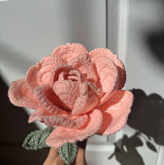 XL Coral Rose