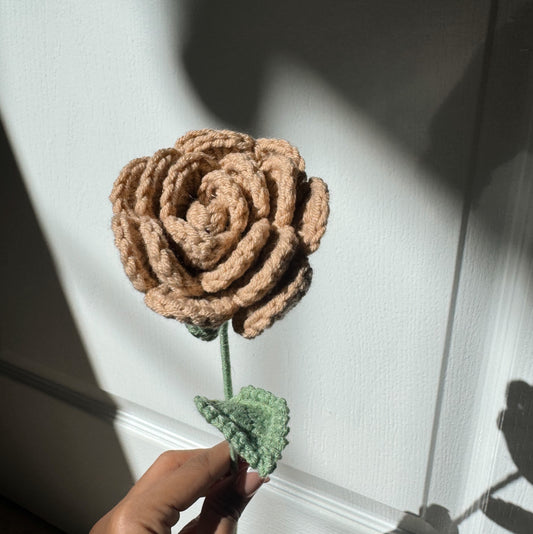 Neutral Rose