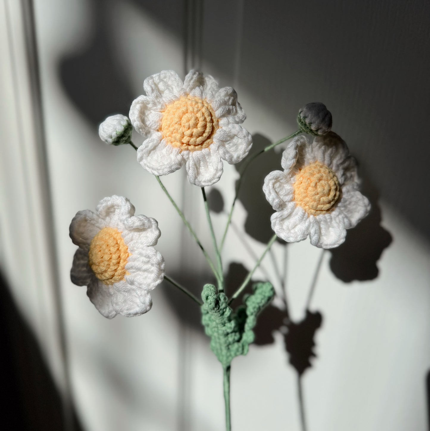 WHITE DAISY BRANCH