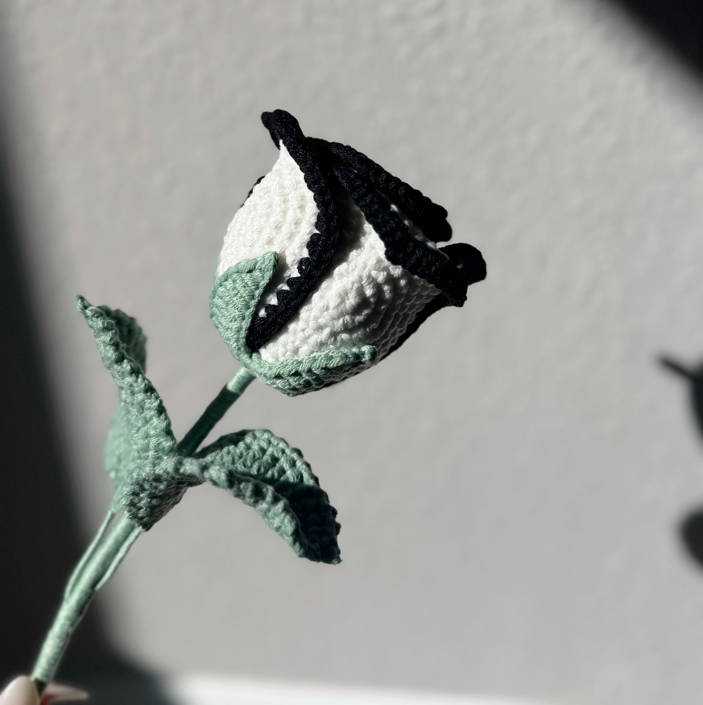 Monochrome Edge Rose