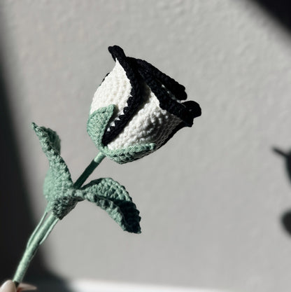 Monochrome Edge Rose