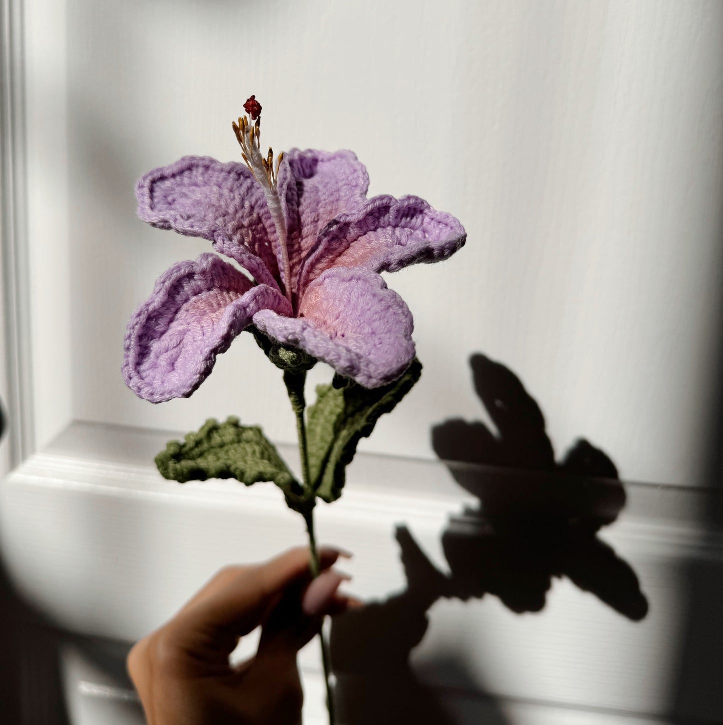 PURPLE HIBISCUS