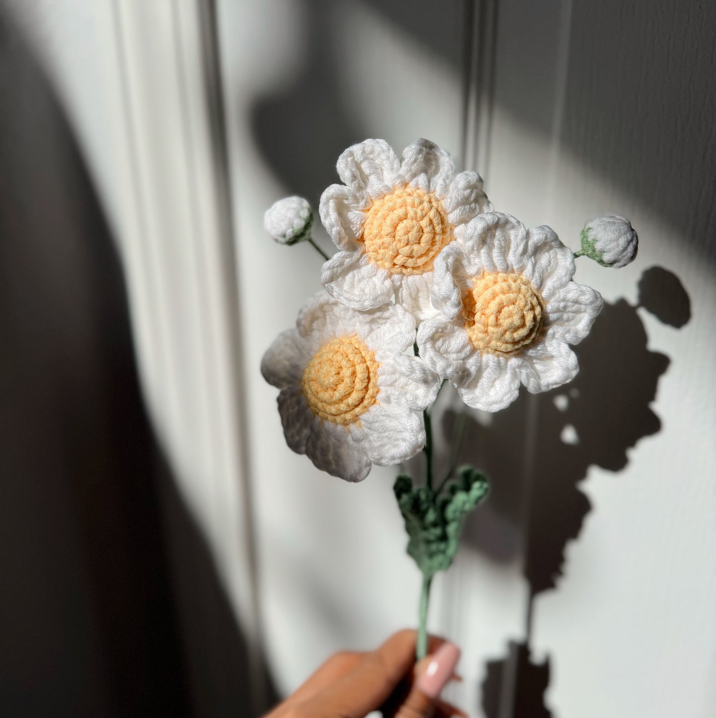 WHITE DAISY BRANCH