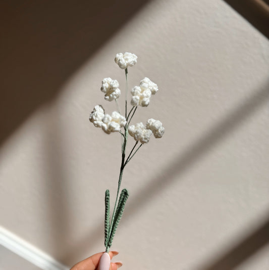 BABY’S BREATH