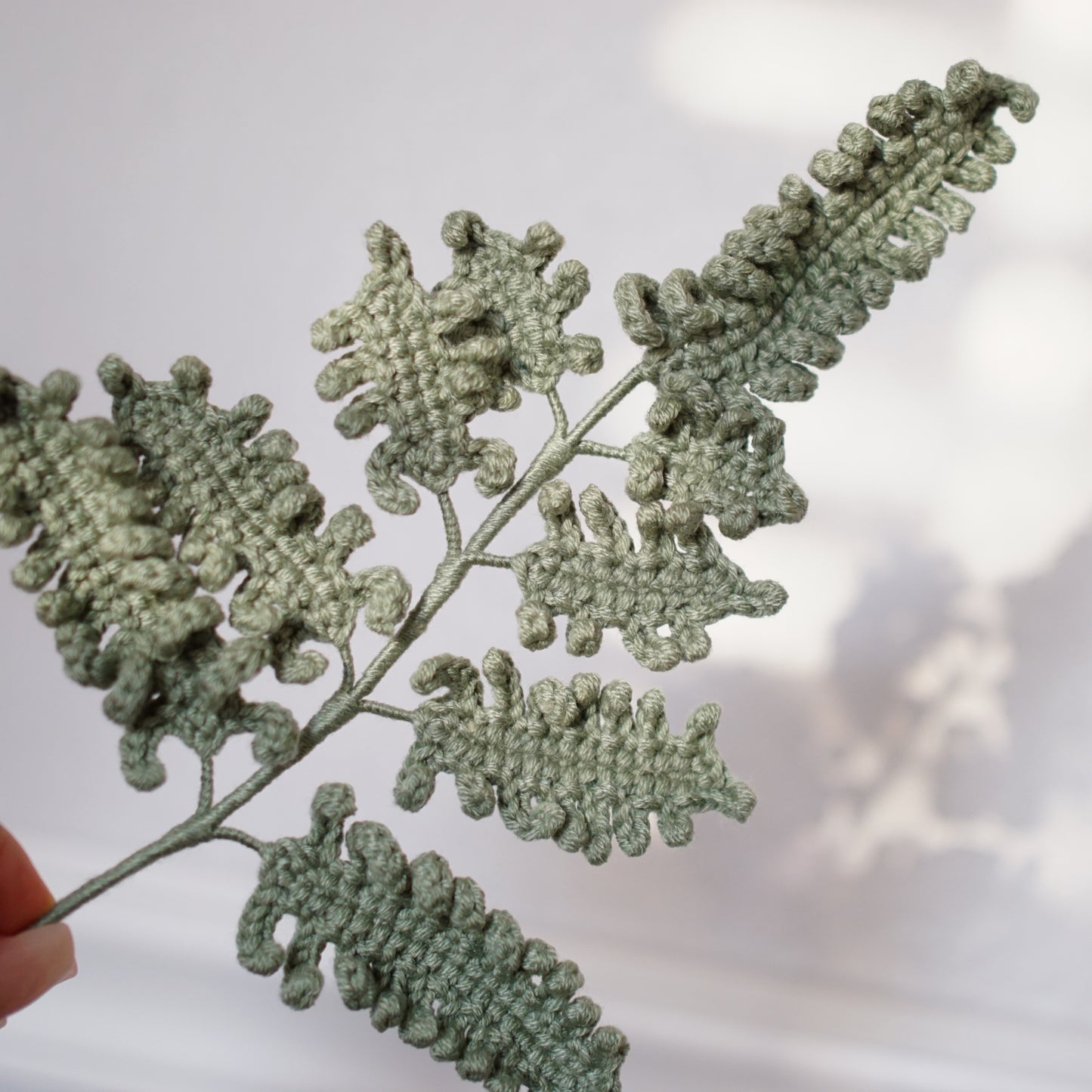 FERN