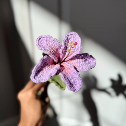 PURPLE HIBISCUS
