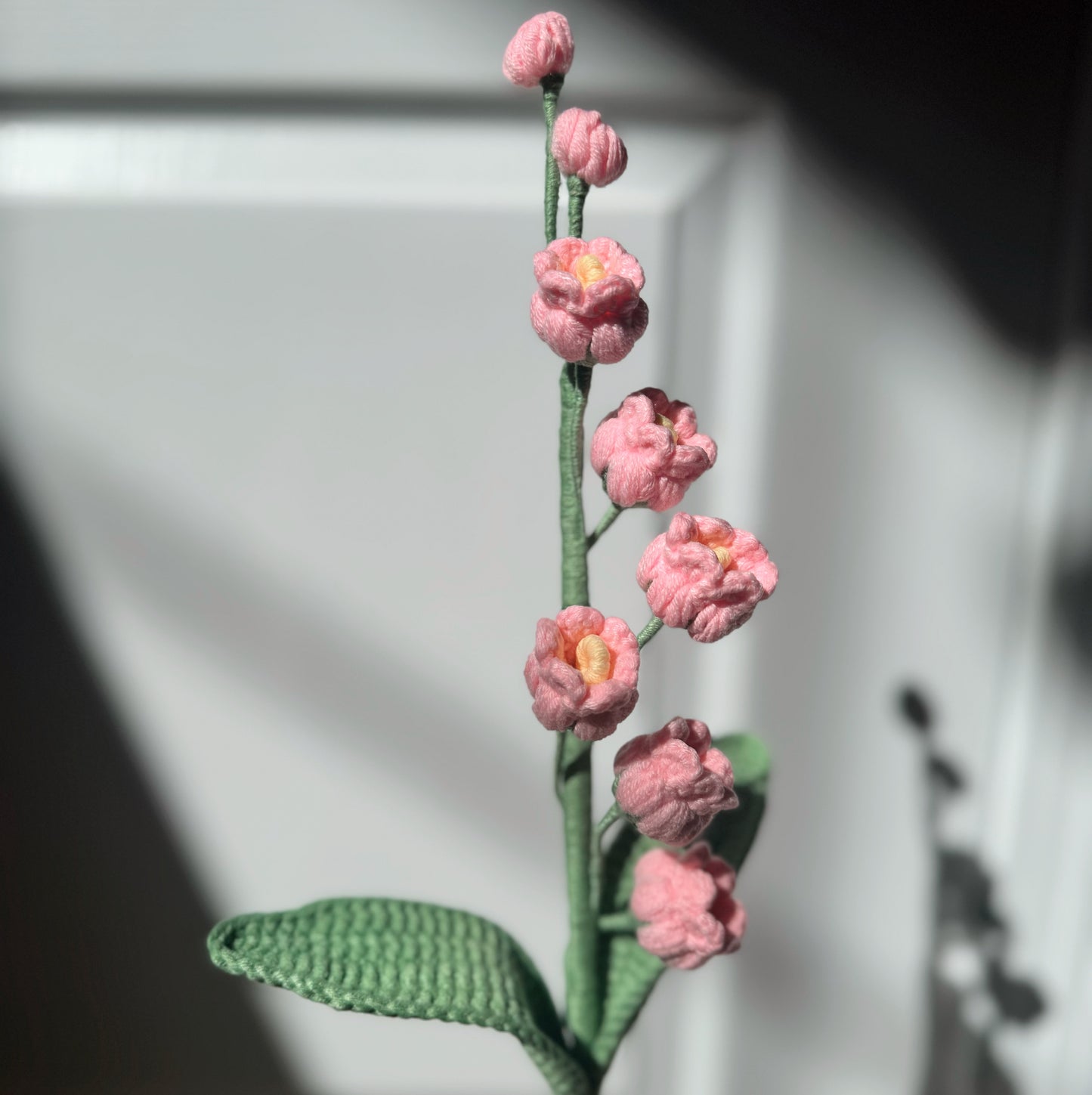 Pink Bell Orchid