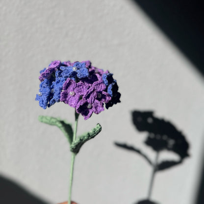 Periwinkle Blue & Lavender Hydrangea