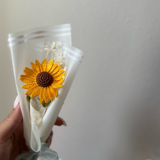 A little ray of sunshine 🌻✨