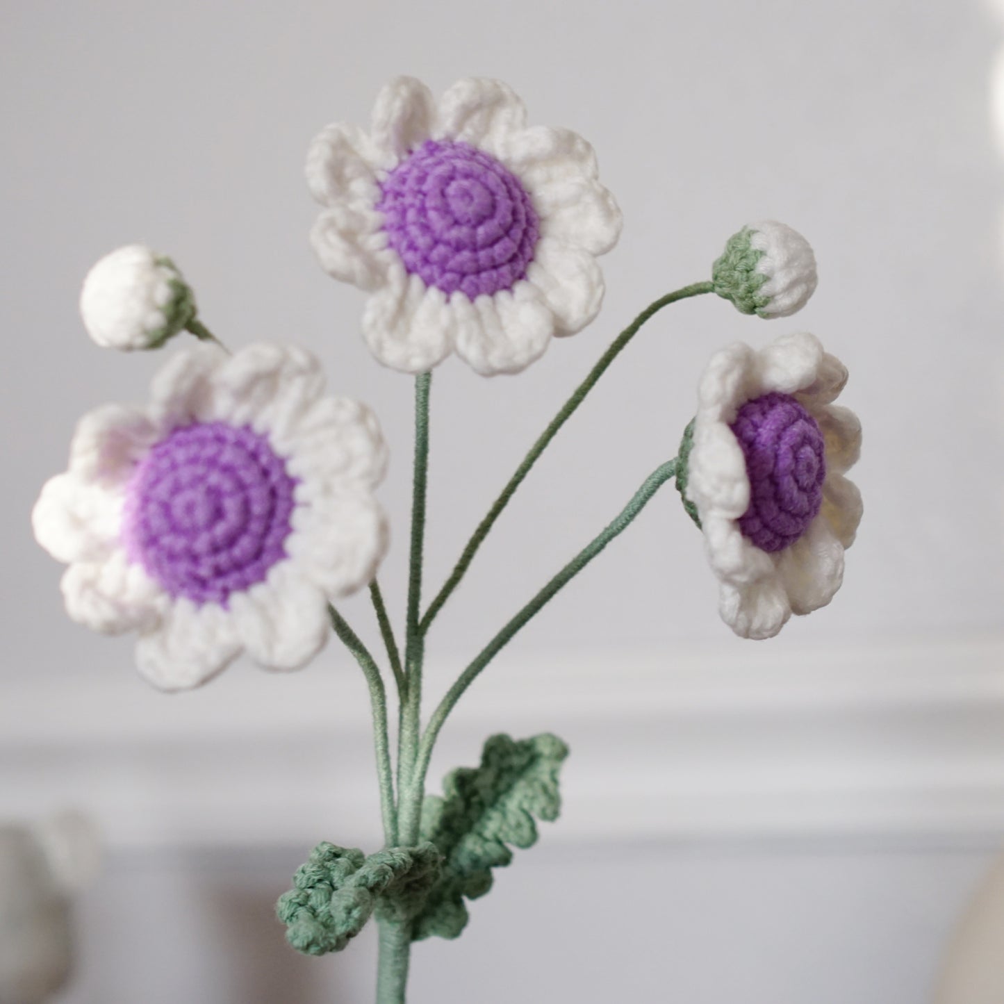 DAISY BRANCH