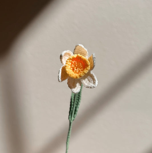 WHITE DAFFODIL