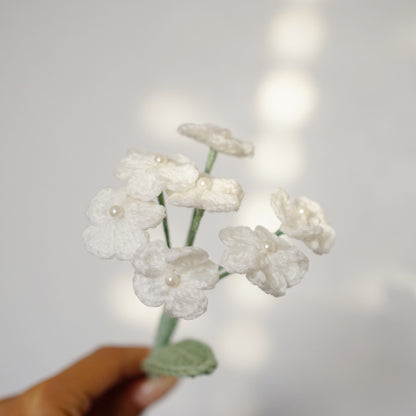 WHITE FORGET ME NOTS