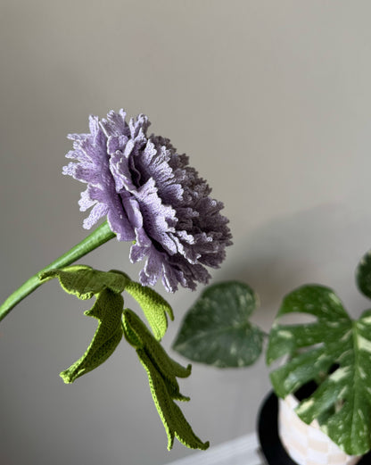 Detailed Lilac Peony