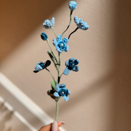 BLUE OXYPETALUM