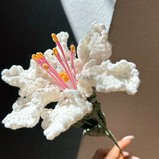 CREPE MYRTLE