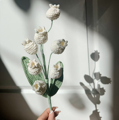 White Canterbury Bell