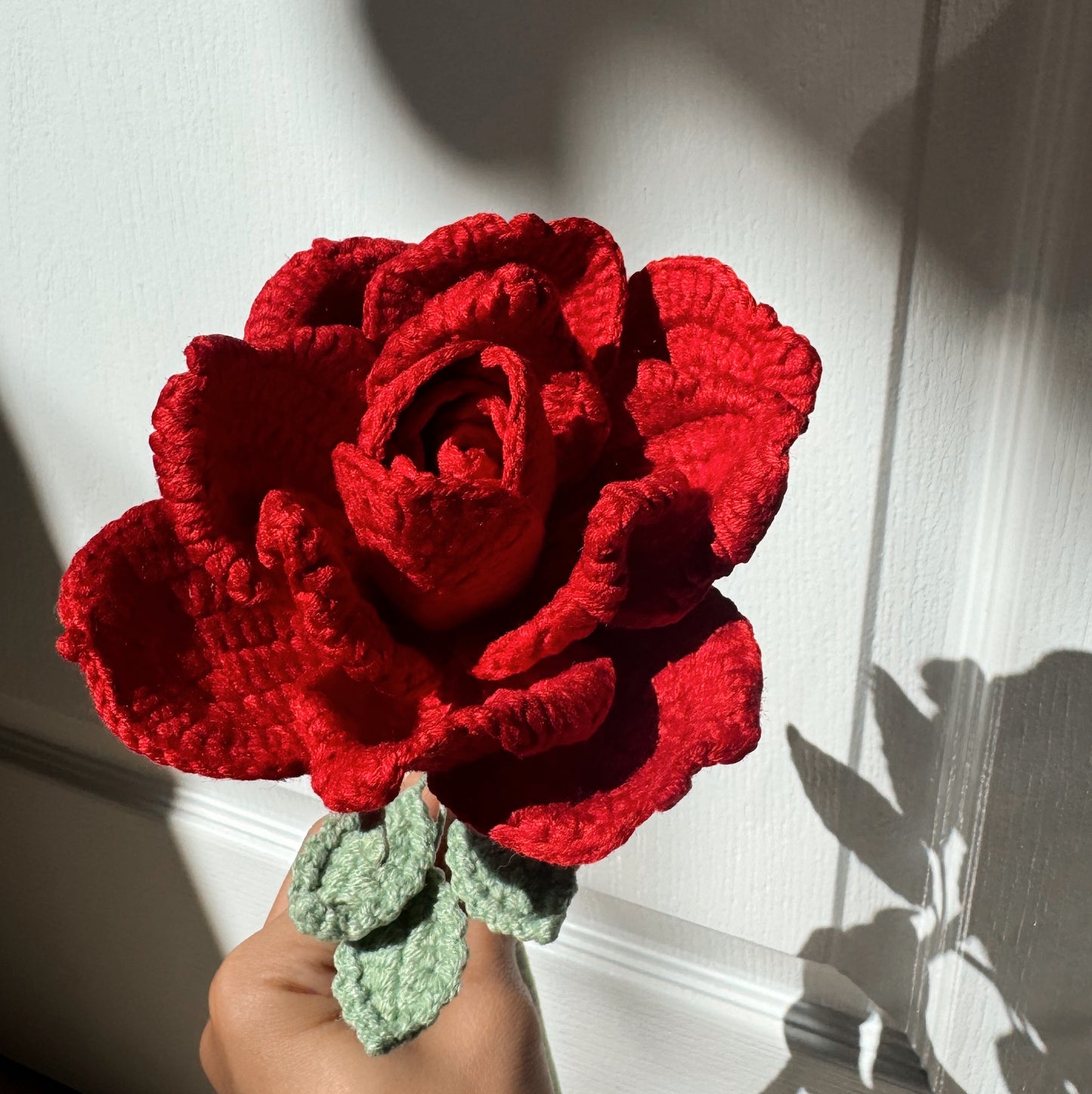 Red XL Rose