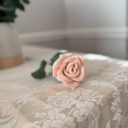 Cream White Rose with Pastel Pink