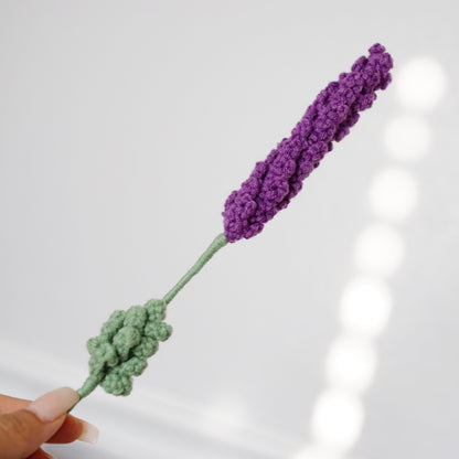 DARK PURPLE LAVENDER