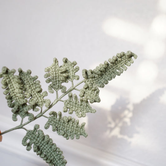 FERN