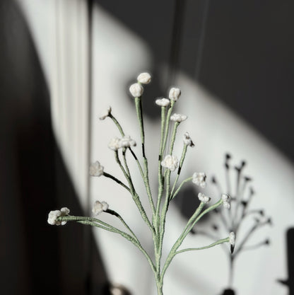 GYPSOPHILA