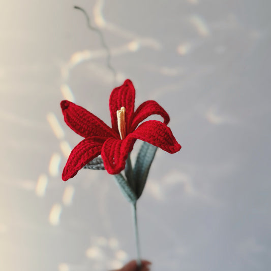 Red Rain Lily