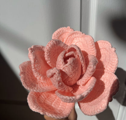 XL Coral Rose