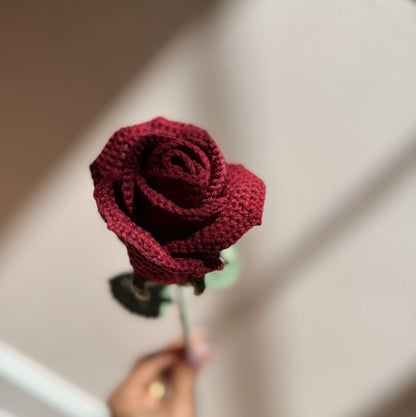 RED WINE ROSE