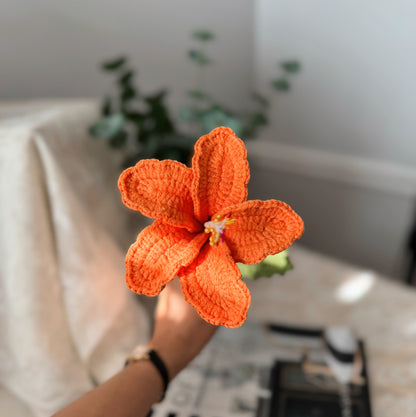 Bright Orange Hibiscus