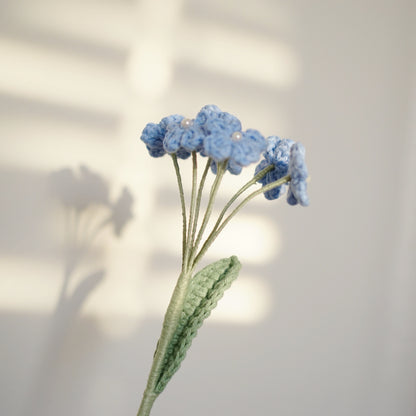 LIGHT BLUE FORGET ME NOTS