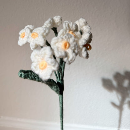 White Forget me nots